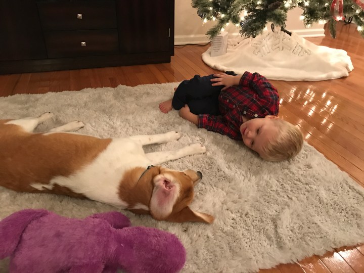 6B832D4C-C6C5-441B-A662-238CC3A681A3